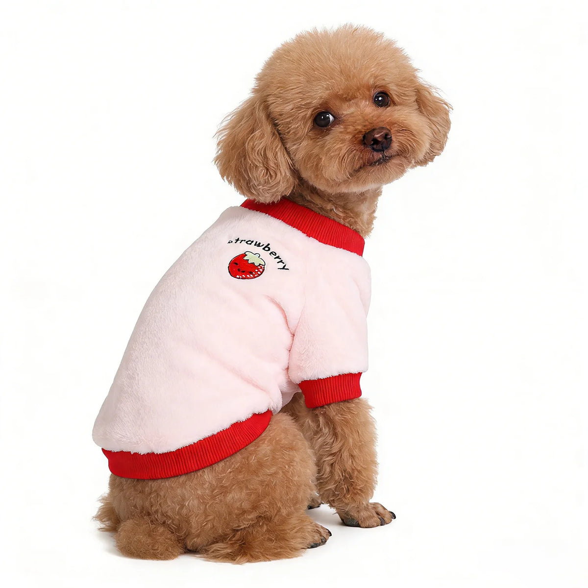 Warm Fleece Pet Clothes Cute Fruit Print Coat Small Medium Dog Cat Shirt Jacket Teddy French Bulldog Chihuahua Winter Outfit